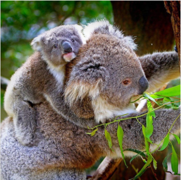 Це зображення має порожній атрибут alt; ім'я файлу 14.png