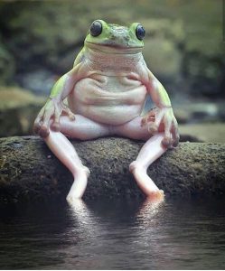 Це зображення має порожній атрибут alt; ім'я файлу 17-10.jpg