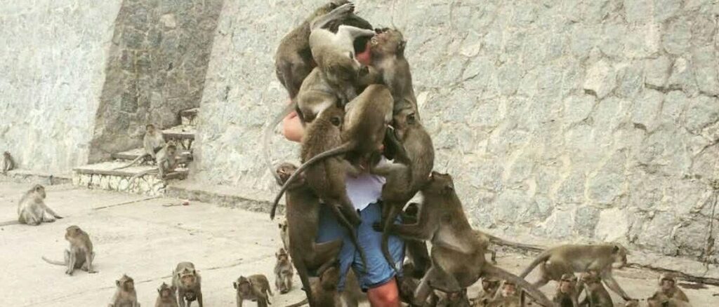 Це зображення має порожній атрибут alt; ім'я файлу Golovna-1024x438.jpg