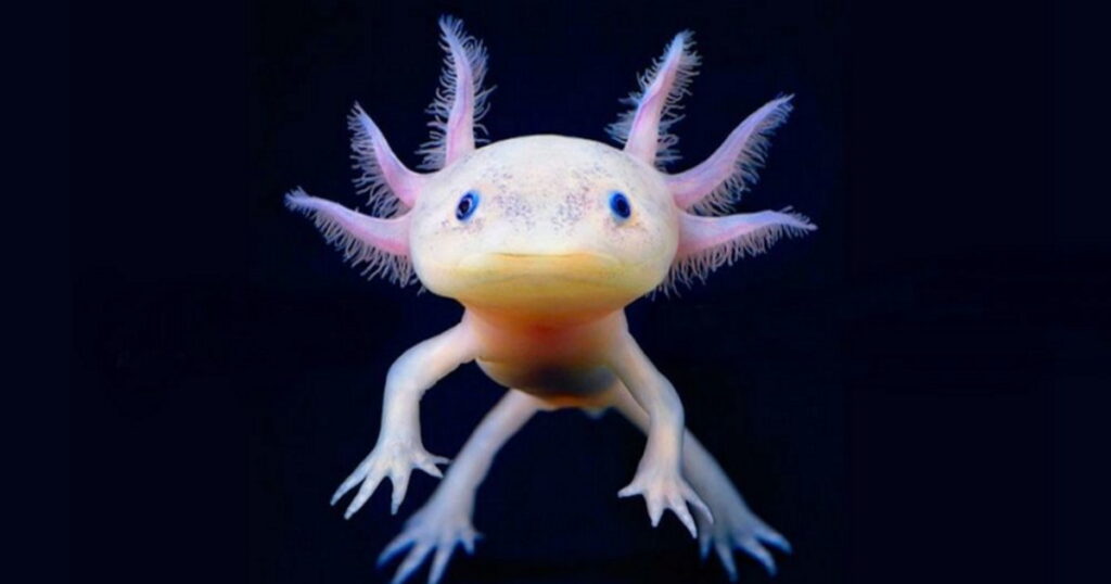 Це зображення має порожній атрибут alt; ім'я файлу Untitled-77-1024x538.jpg